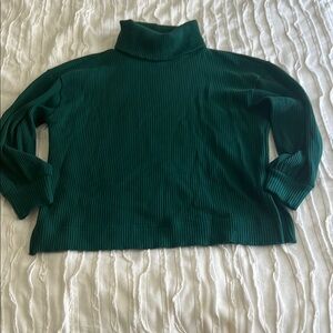 Gap Green Turtleneck Sweater